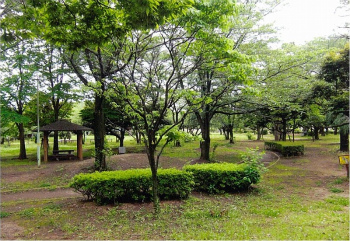 早稲田公園と周辺施設